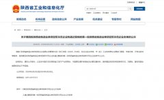 「单项冠军」是大医集团